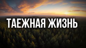 ТАЕЖНАЯ ЖИЗНЬ | таежные истории