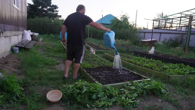 Выдернул весь редис с грядки Посеял новый Ботвы много а толку ноль ПОДВАЛ ИЛЬИЧА смотреть онлайн