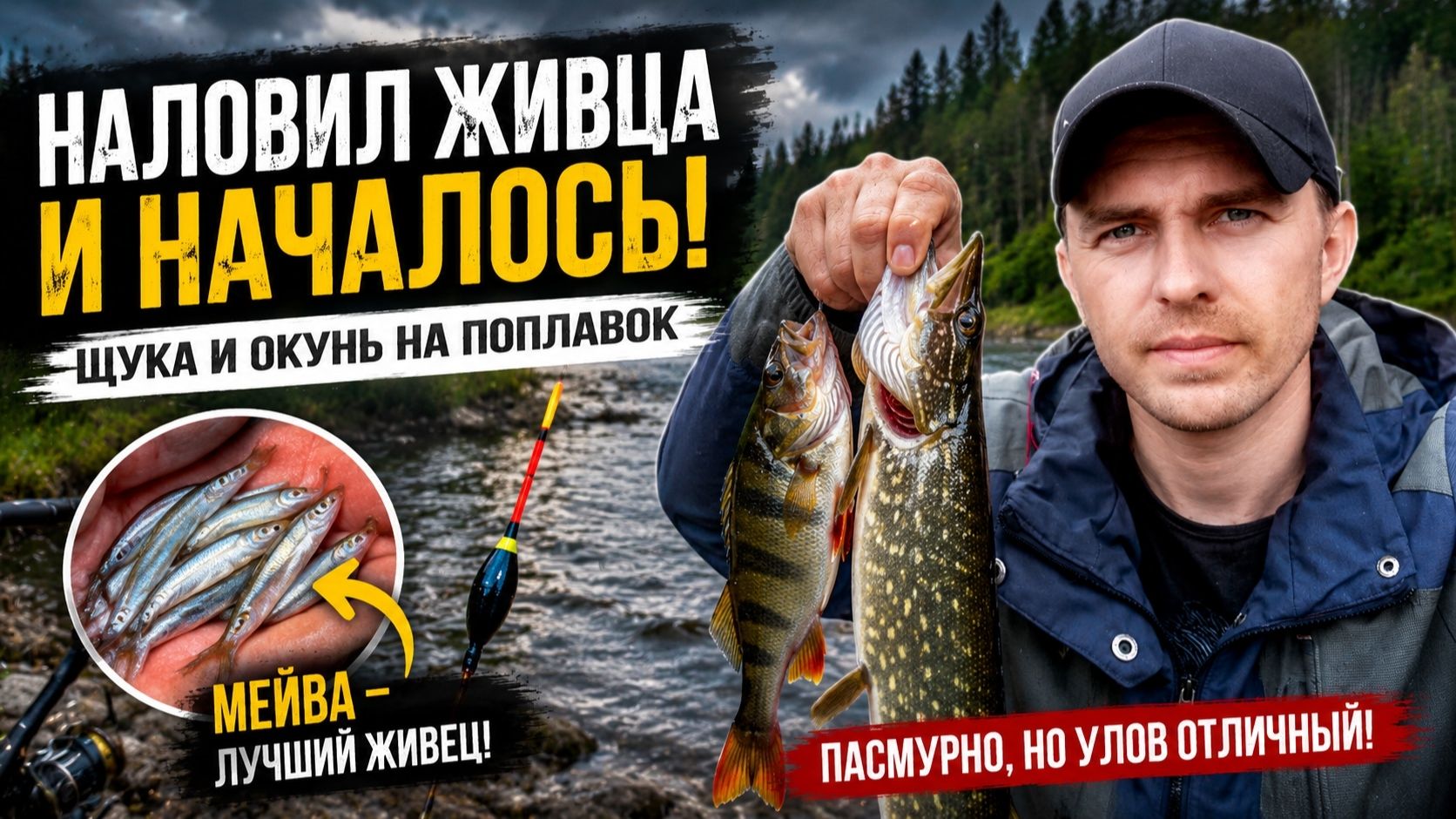 Наловил живца и началось! Щука и окунь на лесной речке