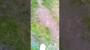 мы опять ведём пермую трансляцию 😜