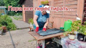 Летний день на севере: стирка, выпечка, томаты...