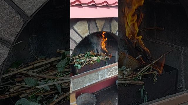 сад металлург  кастер 1 часть.
