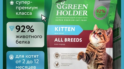 Обзор Green Holder/грин холдер для котят. Маленькие лгунишки!