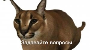 Задавайте вопросы