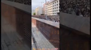 Шли потоком звери.