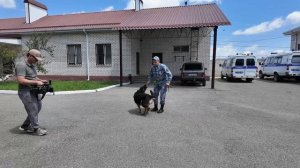 В Карачаево-Черкесии прошел пресс-тур в кинологическом центре регионального МВД