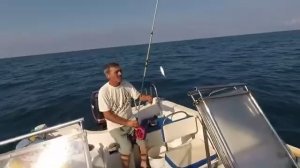 Как и на Что  Ловят Ставридку Чёрное море