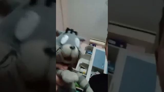 День драконов