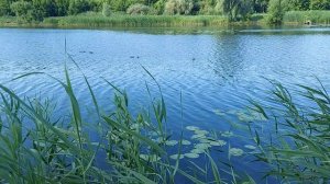 Белгород. Ракетная опасность. 20.06.26