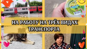 20-06-2026 Путь на работу🏃Общаюсь с вами вечерком❤️Немного деревенской жизни😉