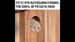 Разговоры с коллекторами 139