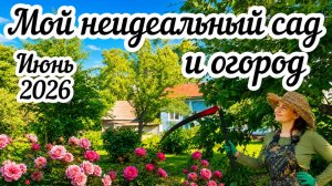 Что растет в моем саду и огороде в этом сезоне? 🌱 Показываю все как есть без прикрас 👩🌾