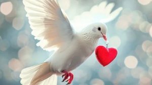 Любовь и голуби ❤️🕊️🌤️