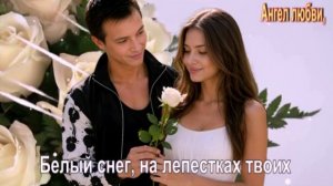 Белый снег, на лепестках твоих,