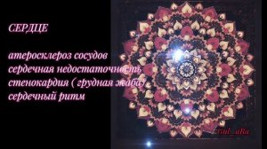 Матрица Гаряева. Сердце: атеросклероз сосудов, стенокардия,сердечная недостаточность, сердечный ритм