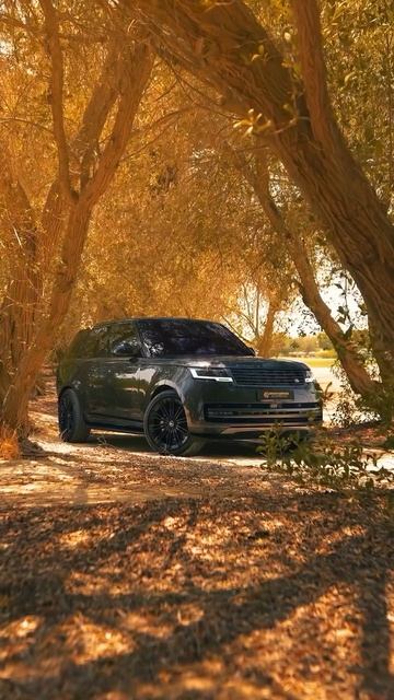 Range Rover Vogue HSE 🩶