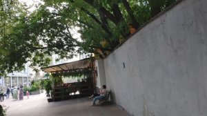 Рядом с Арбатом