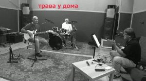трава у дома