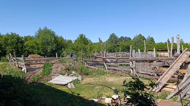 Продолжаем чистить загоныРугаюсь на огородеМесяц без дождей