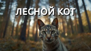 Лесной кот I Рассказ