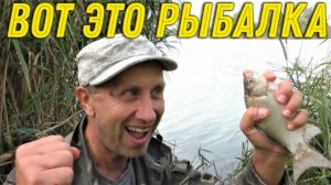 КАРАСЬ ОДОЛЕВАЕТ в КАМЫШАХ, Тягаю в ДВЕ РУКИ Одну за Одной, Такой РЫБАЛКИ давно не Было у НАС!!!