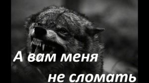 #музыка #А вам меня не сломать