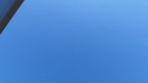 21.06.26 г. Андижанская порода голубей (2)