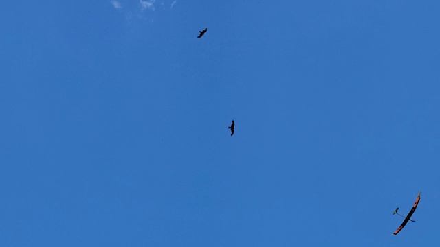 название ролика озвучено пилотом на последних секундах видео смотреть онлайн