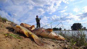 Ё-МОЁ! САЗАН ПОПЁР, ТОЛЬКО ЗАБРОСИЛ.  КРУПНЫЙ САЗАН на ЗАКИДУШКИ. Рыбалка на сазана в Астрахани.