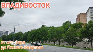 Владивосток июнь 2026, от ост. Заря до Лесного Квартала