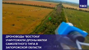 Группировка «Восток» уничтожила дроны-матки самолетного типа ВСУ на Запорожье