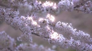 Не столь важно ЧТО мы делаем. Важно КАК. Даже самое нелюбимое дело можно полюбить.