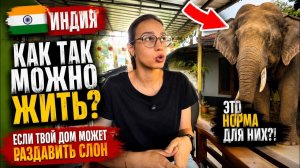 КАК ВЫЖИВАЕТ РУССКОЯЗЫЧНАЯ ЖЕНА В ИНДИИ Как жить, если дом в любой момент может раздавить дикий слон