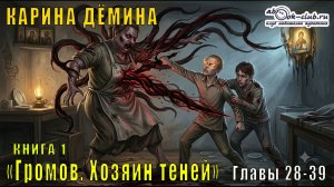 Карина Демина «Громов. Хозяин теней» (книга 1 главы с 28 по 39)