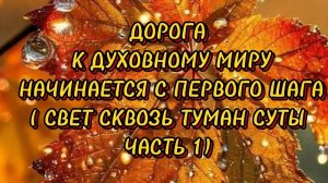 ВСЕ ДОРОГИ  К ДУХОВНОМУ МИРУ НАЧИНАЮТСЯ С ПЕРВОГО ШАГА( СВЕТ СКВОЗЬ ТУМАН СУЕТЫ. ЧАСТЬ 1)