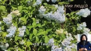 Старая любовь в эфире