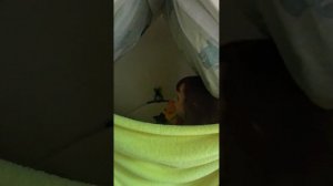 Мини кукольный театр по мультфильму «Ушастик»