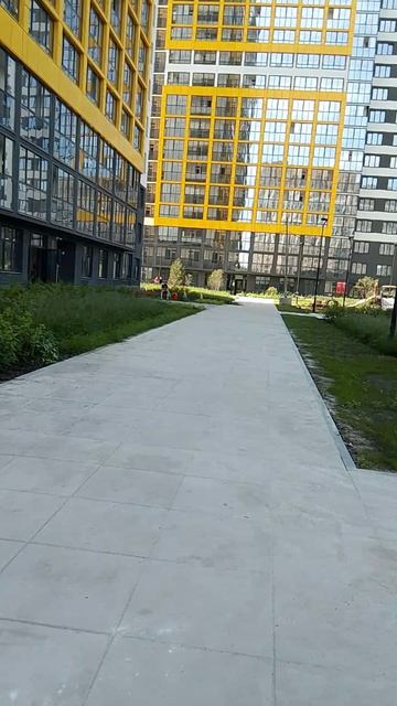 Недвижимость