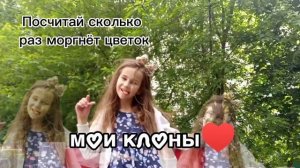 посчитай сколько раз моргнёт цветок
