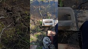 видео  на  пруду   маленький рассказ