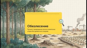 География 10 класс 7 Лесные ресурсы