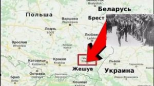 При всей нелюбви к бандеровцам, Польша 4 года играет центральную роль в снабжении боевиков ВСУ - их