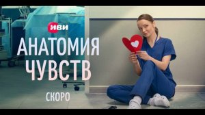 Анатомия чувств (2026) 1,2,3,4,5,6,7,8,9,10,11,12,13,14,15,16 серия обзор сериала
