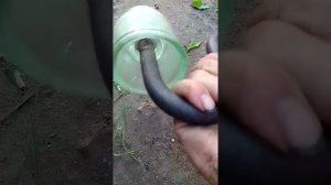 Вл 0,4кв и демонтированная вл к с тарой школе есть находка с анкера