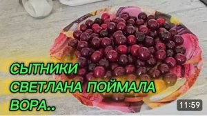 САМВЕЛ АДАМЯН, СЫТНИКИ, СВЕТЛАНА ПОЙМАЛА ВОРА..