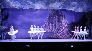 #Краснодар #балет #лебединоеозеро 
красота ,удалось выиграть билеты репостом со стены бывшего мужа .
