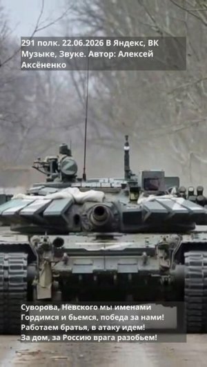 291 полк 2