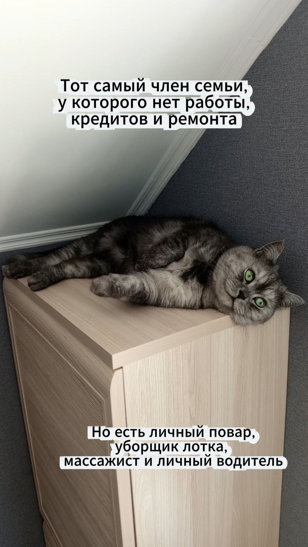 Просто завидуем молча 🤫