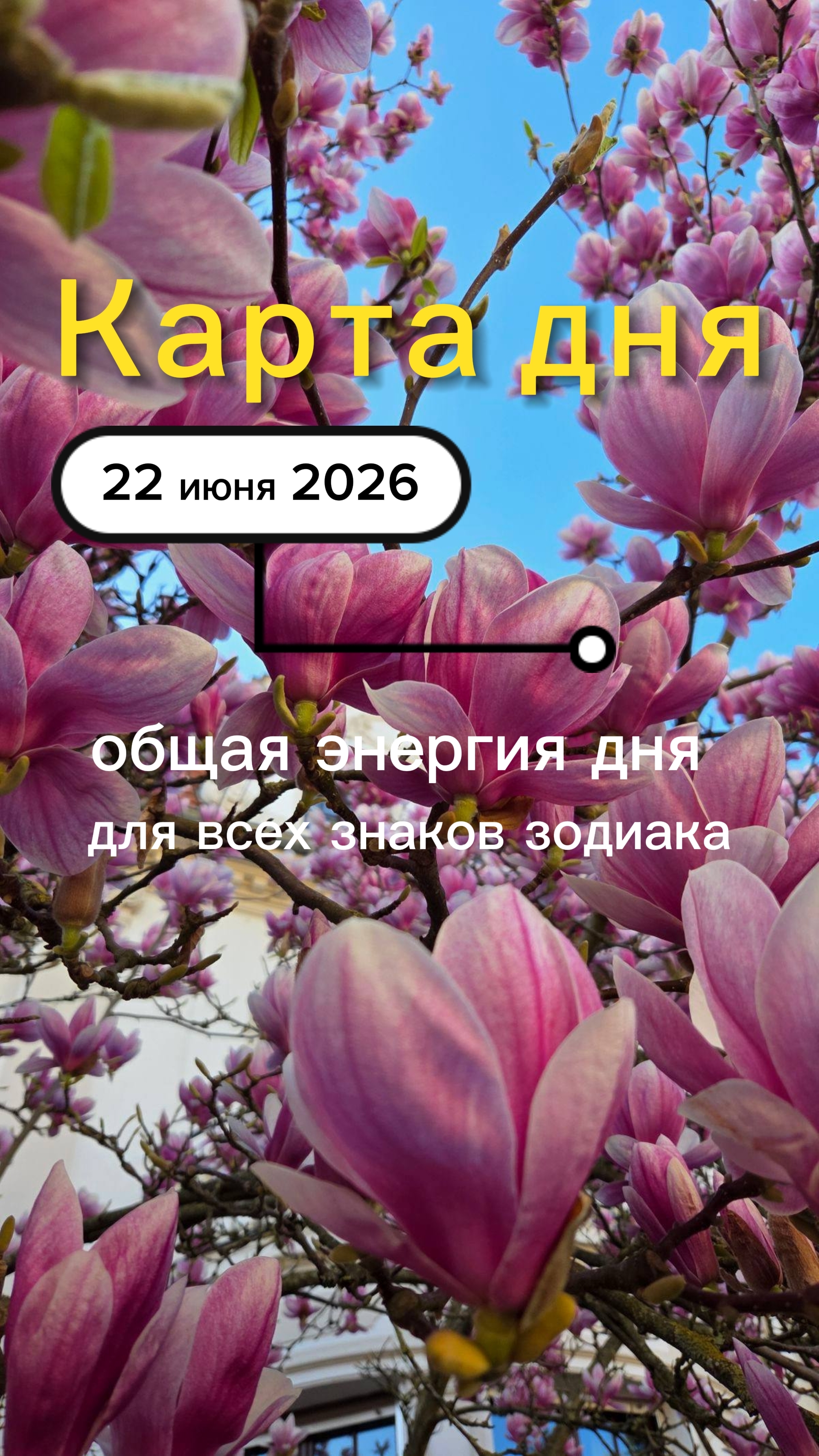 Карта общего фона на 22-06-2026