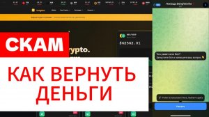 Mopex (mopex.org) обзор криптобиржи, отзывы. Лохотрон?